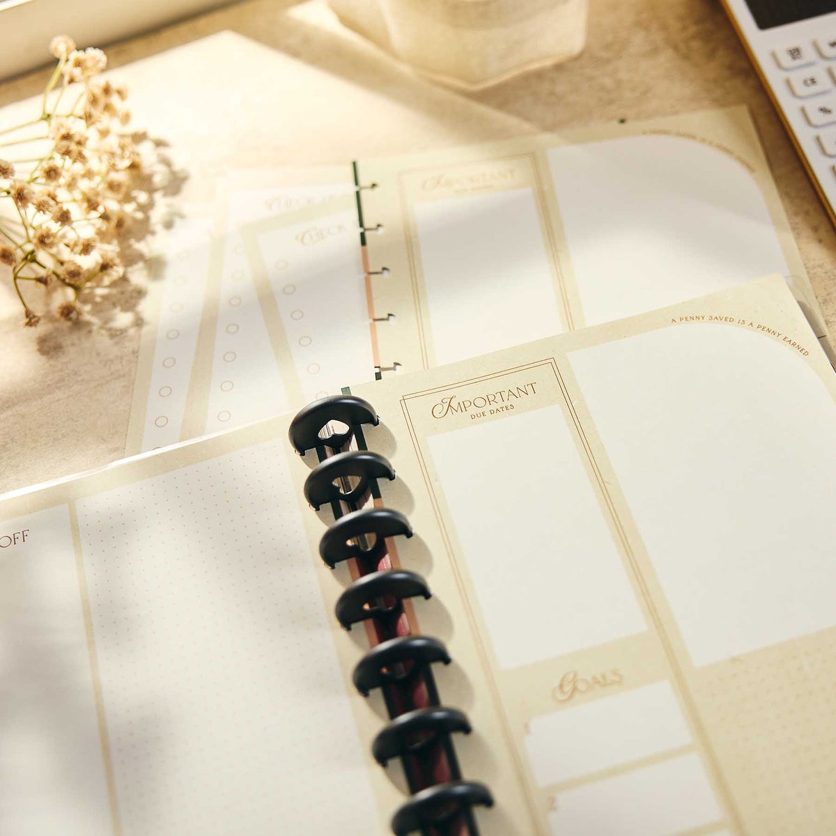 Happy Planner Amber & Oak guided pages with writing boxes and black discs