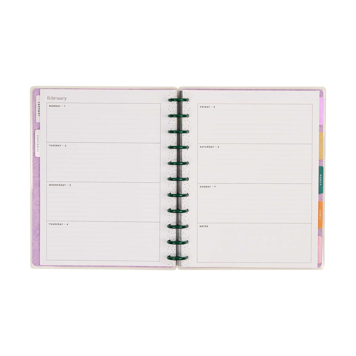 Hive and Bloom Big horizontal weekly spread with pastel tabbed dividers