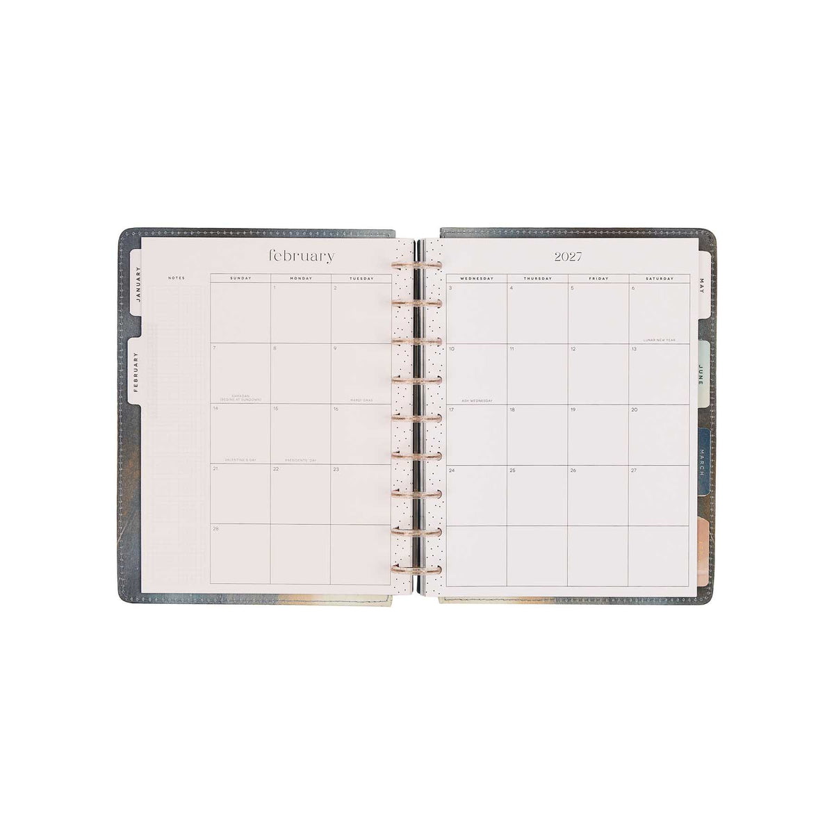 Starlit Glow planner February monthly calendar with disc binding