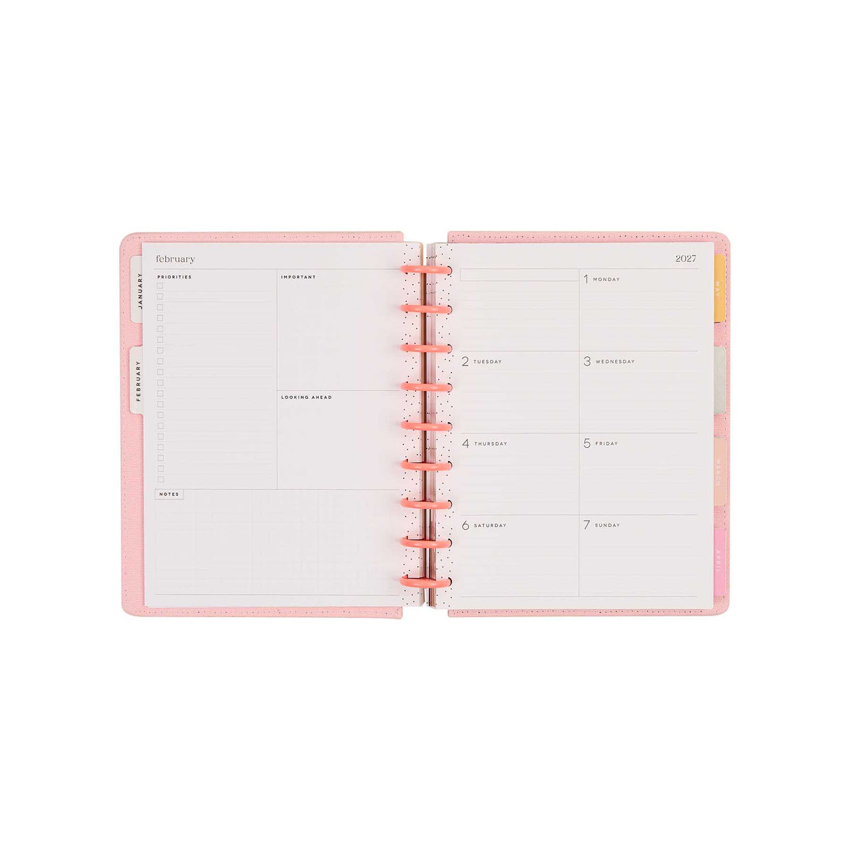 Petal Press planner monthly dashboard spread with pastel dividers