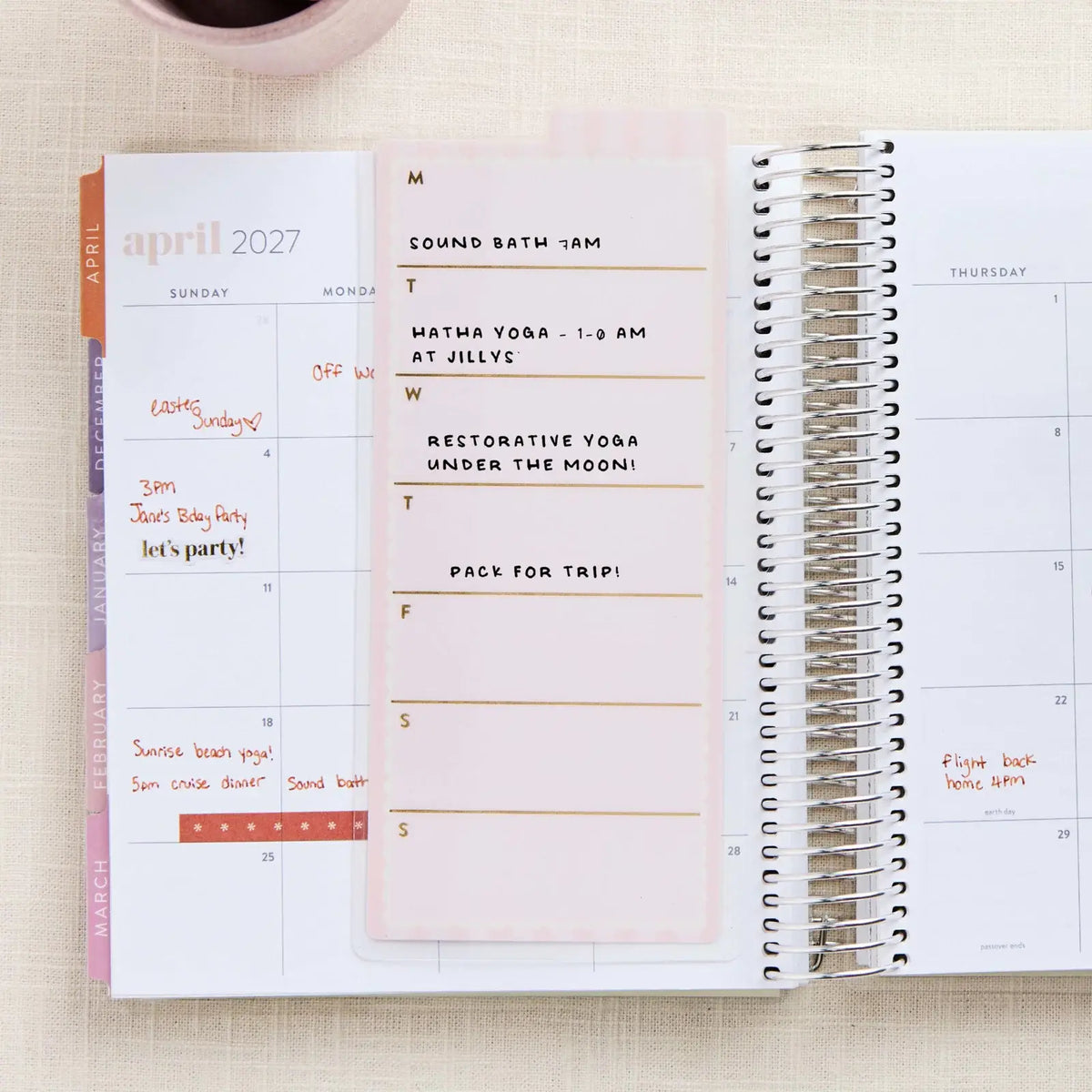 Erin Condren snap-in dashboard: Toile dashboard back used for weekly reminders