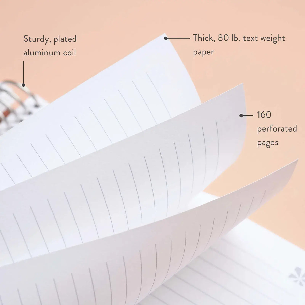 Erin Condren coiled notebook: Notebook diagram showing lined paper and perforated pages