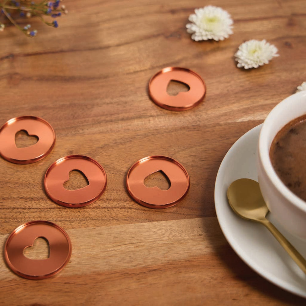 Happy Planner Coral Metal Expander Discs