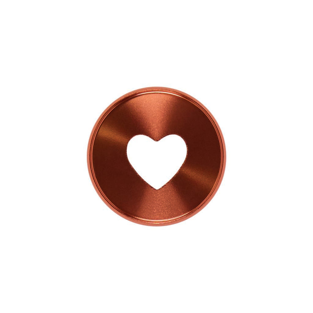 Happy Planner Coral Metal Expander Discs