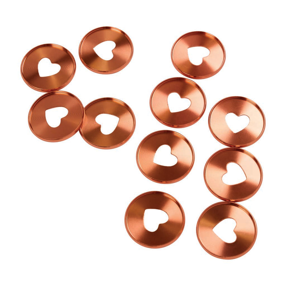 Happy Planner Coral Metal Expander Discs