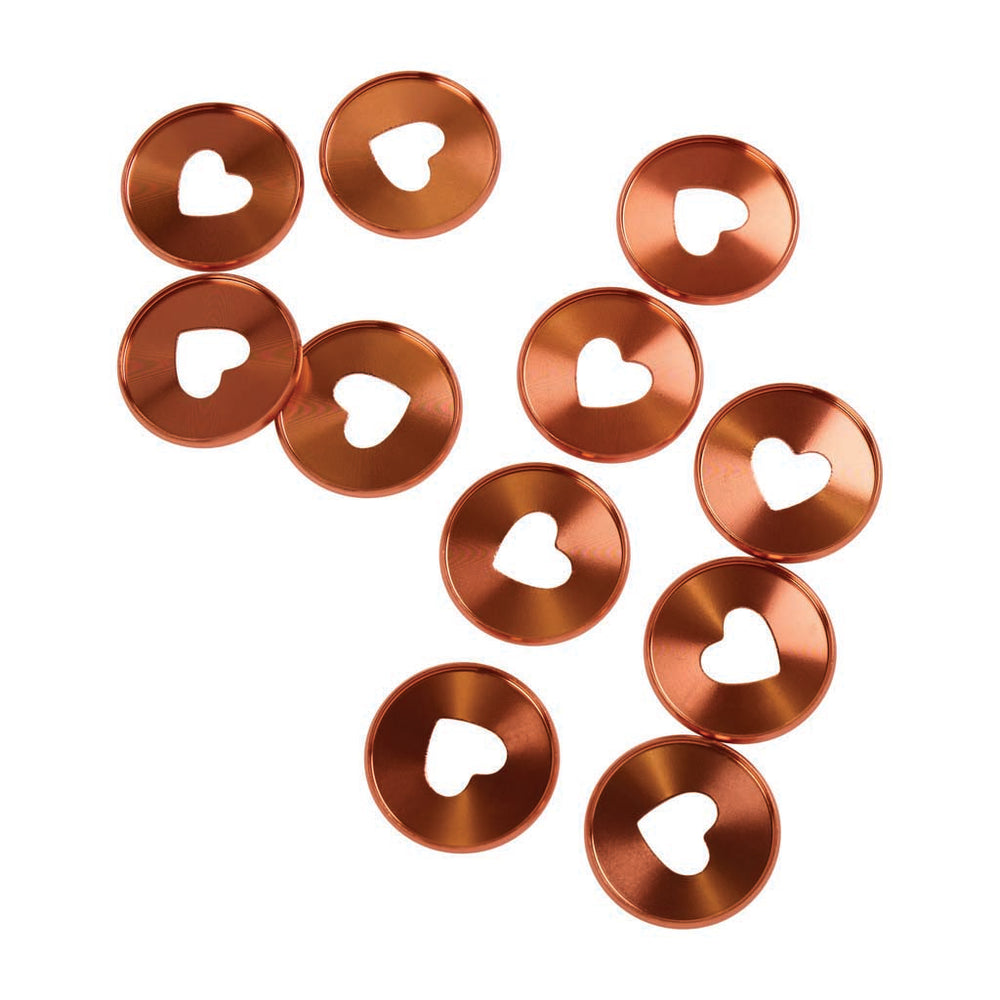 Happy Planner Coral Metal Expander Discs