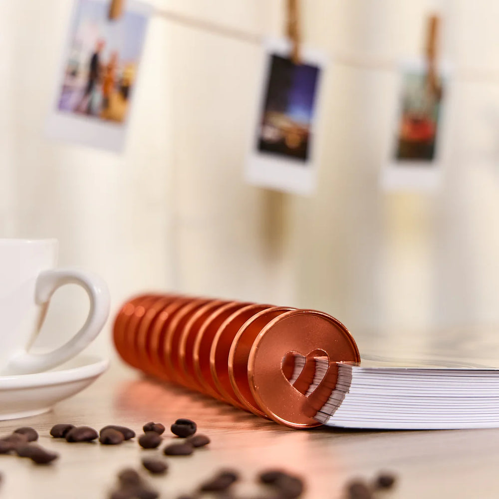 Happy Planner Coral Metal Expander Discs
