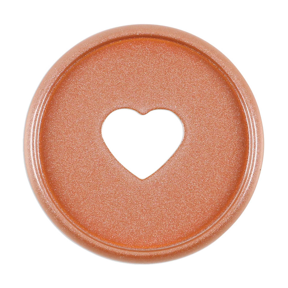 Happy Planner Chai Spice Medium Pearl Powder Metal Disc Set