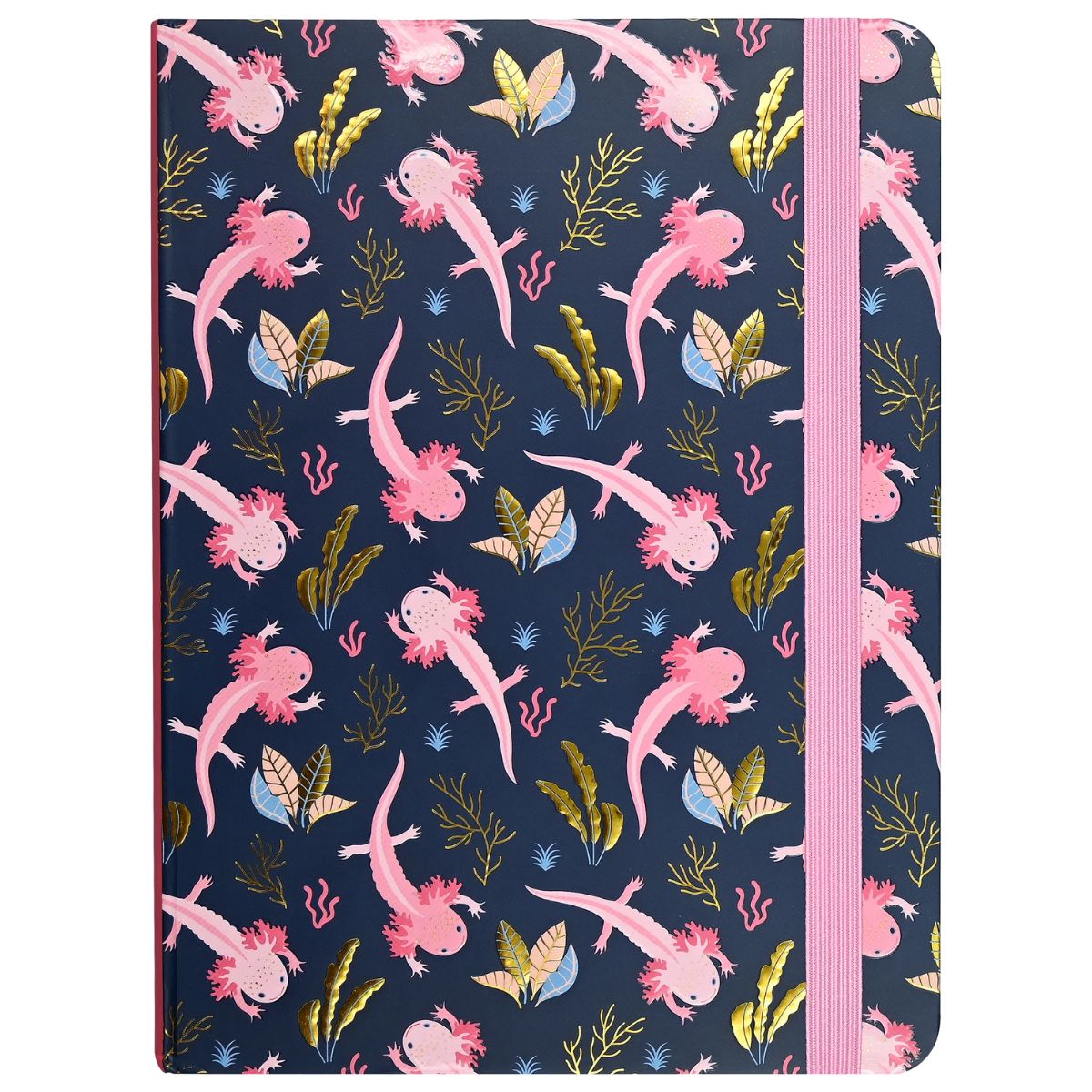 Axolotls Journal