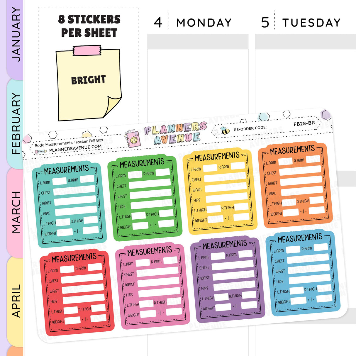 Body Measurements Full Box Tracker Stickers