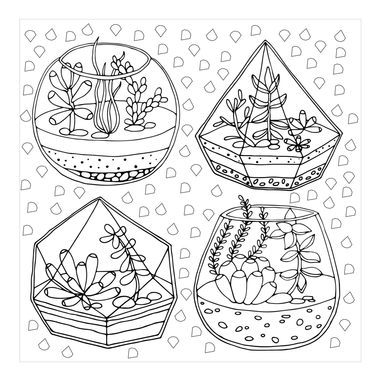 Succulents Artists Colouring Book