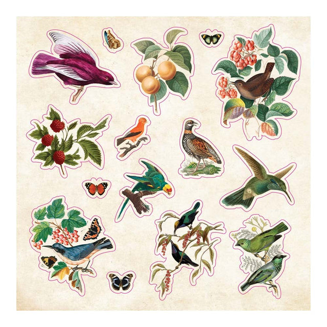 Vintage Sticker Curiosities