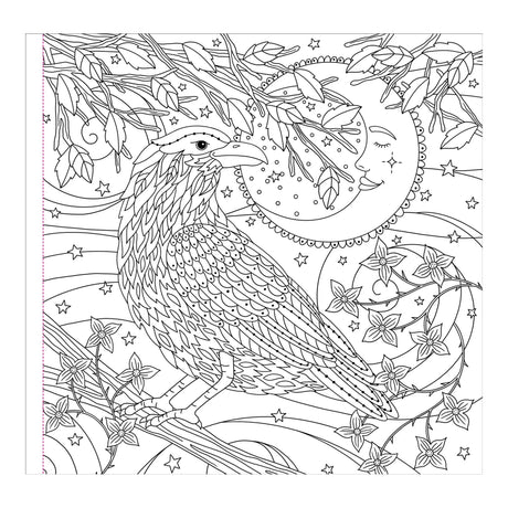 Witchcraft & Wonder Artist's Colouring Book