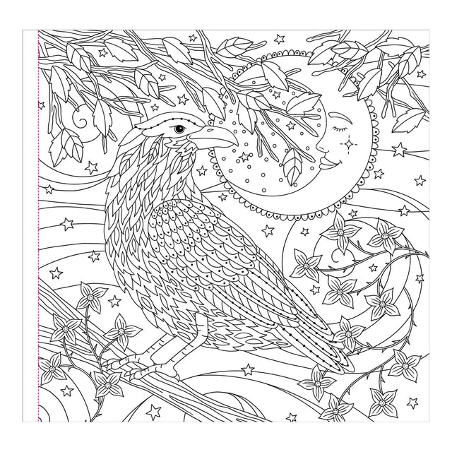 Witchcraft & Wonder Artist's Colouring Book