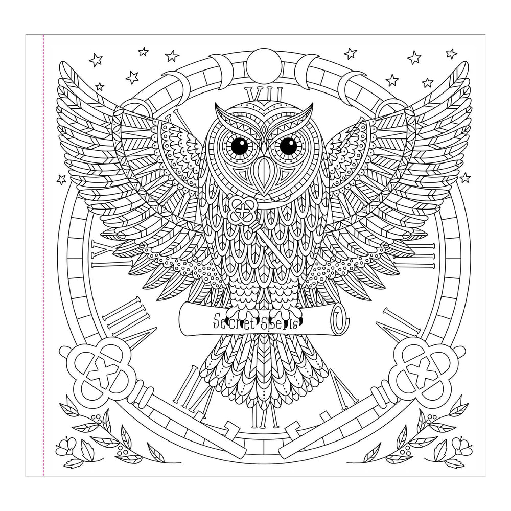 Witchcraft & Wonder Artist's Colouring Book