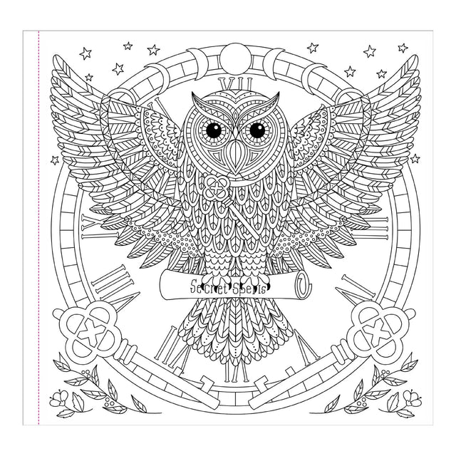 Witchcraft & Wonder Artist's Colouring Book