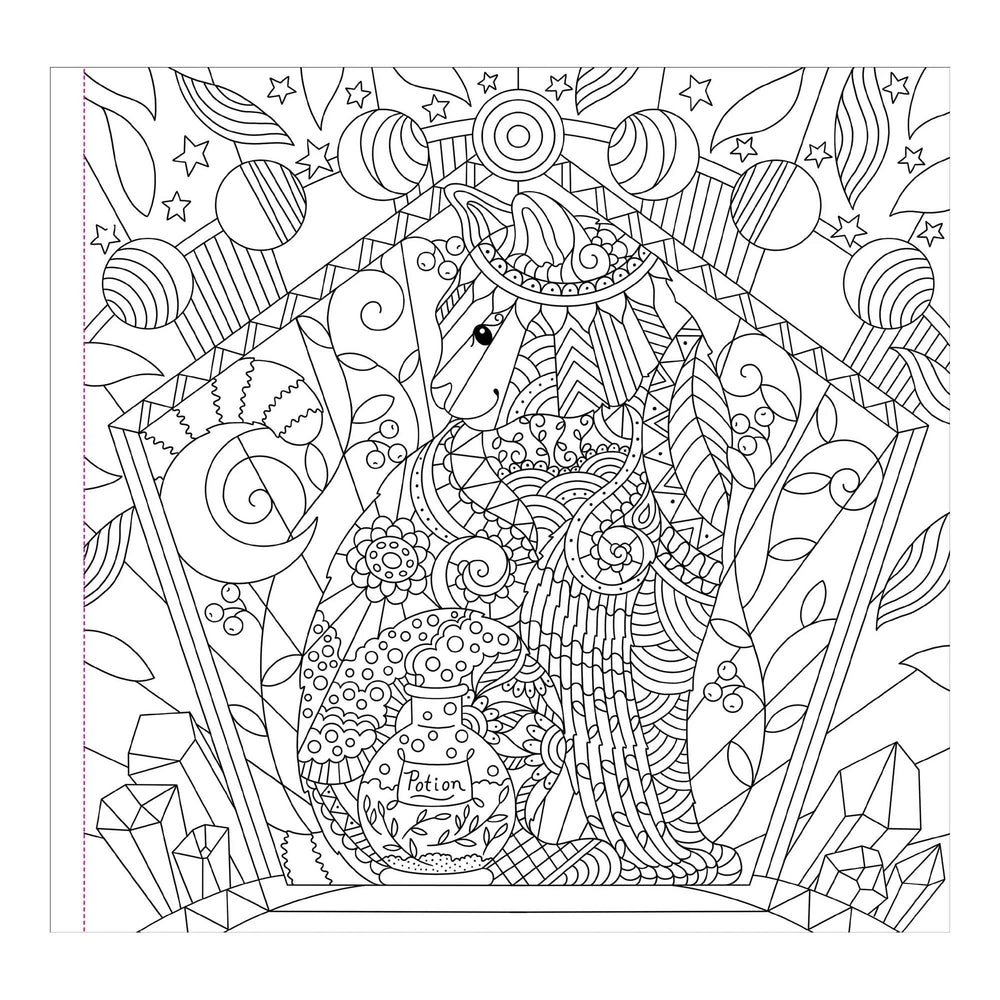 Witchcraft & Wonder Artist's Colouring Book