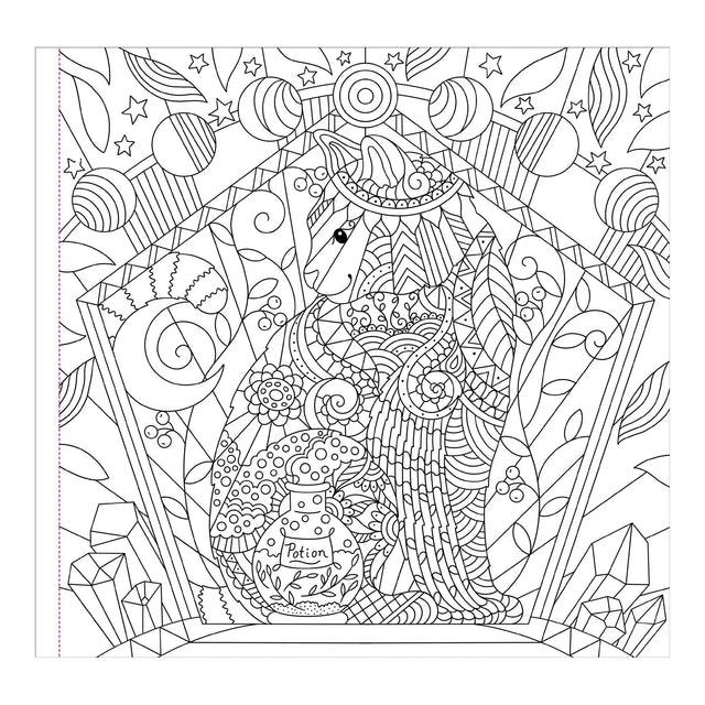 Witchcraft & Wonder Artist's Colouring Book