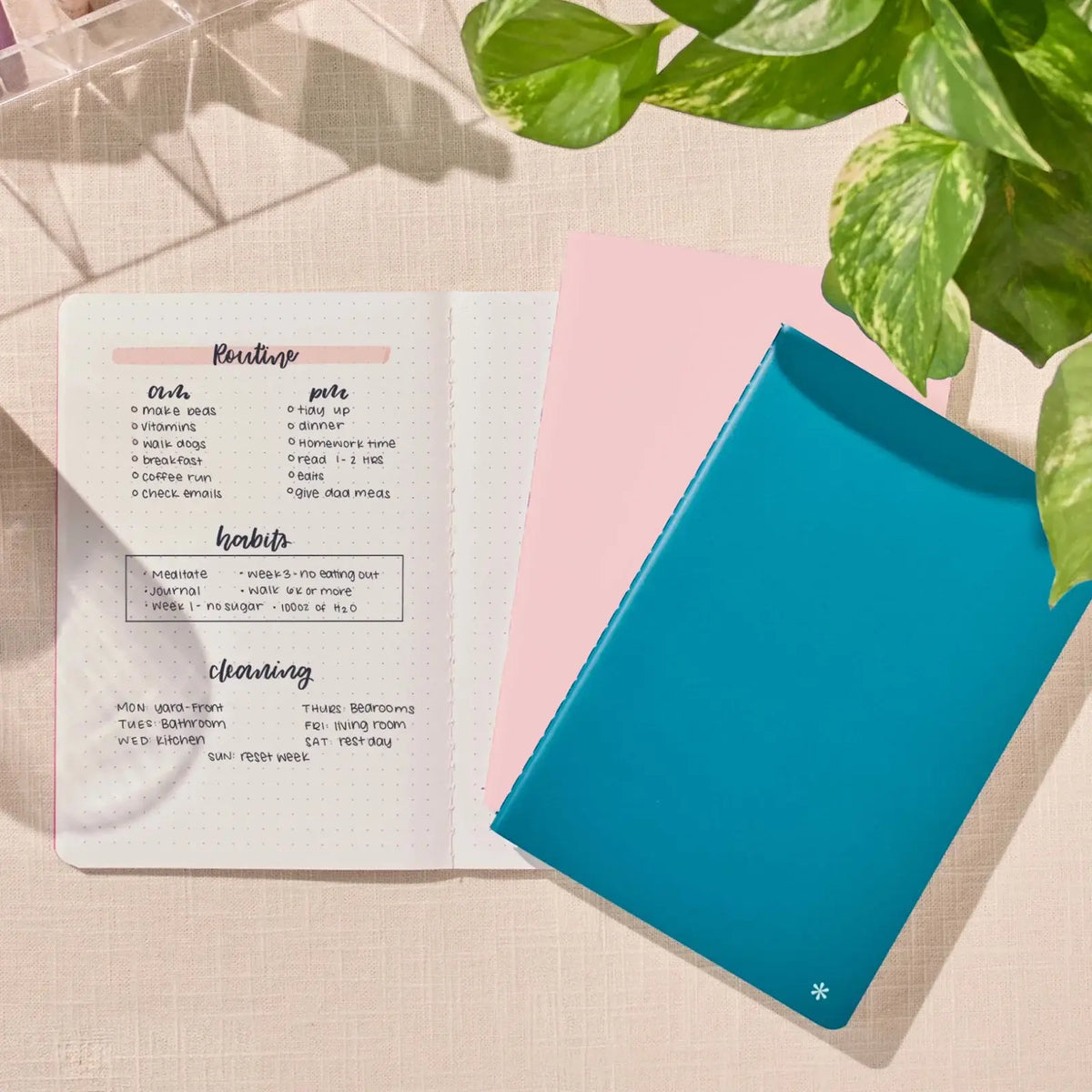 Erin Condren Petite Journal: Dot grid pages used for handwritten notes beside coloured journals