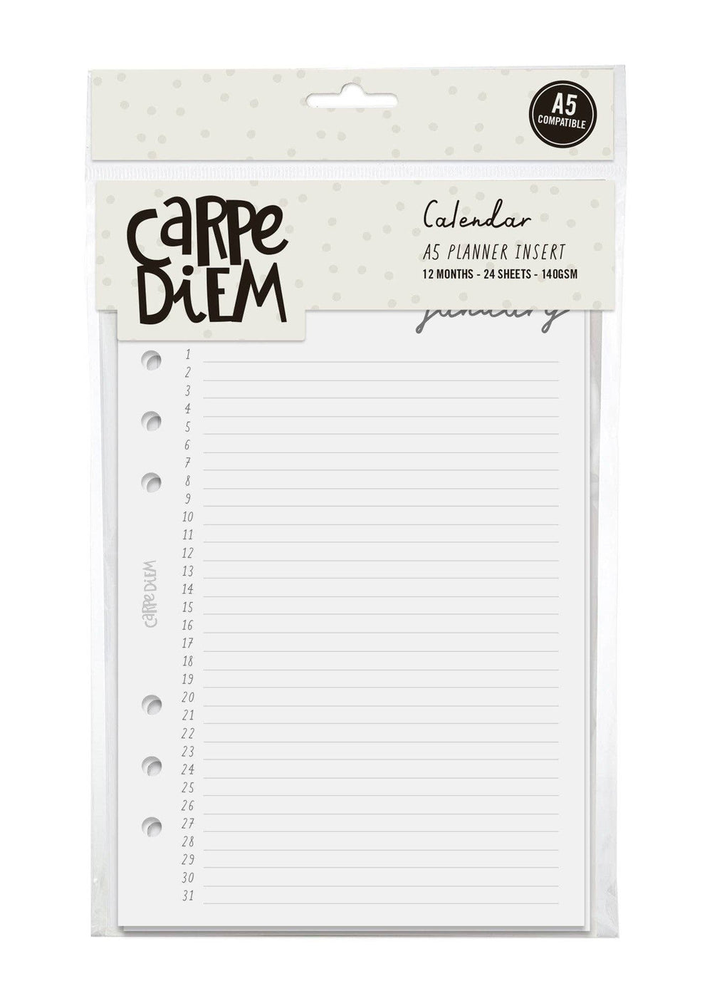 Carpe Diem Monthly Calendar A5 Planner Inserts