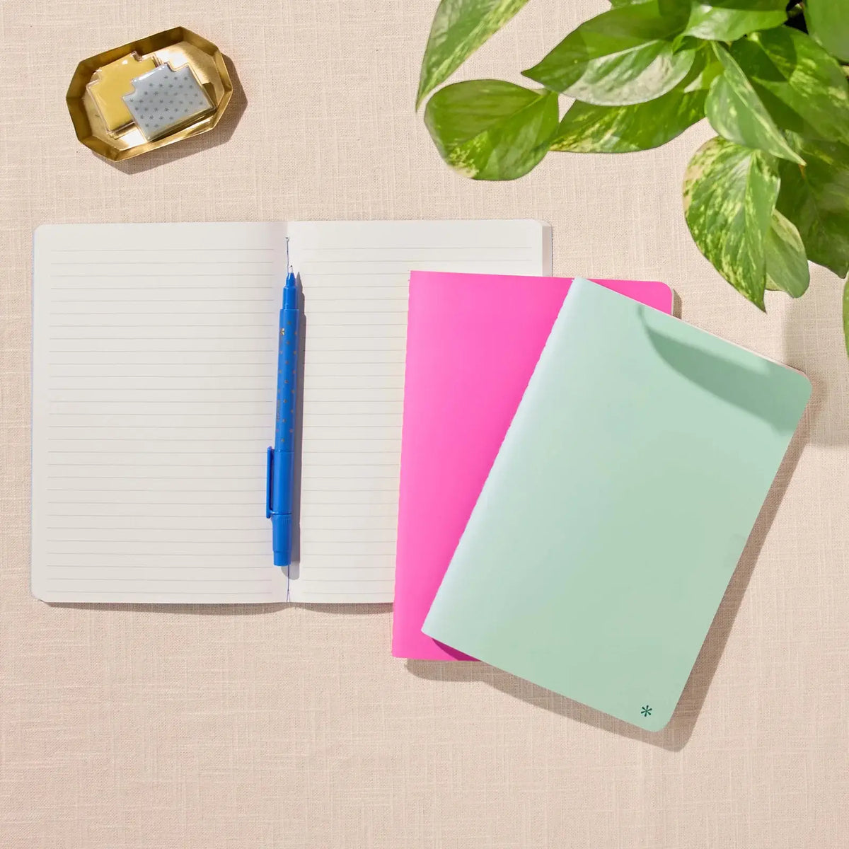 Erin Condren Petite Journal: Lined journal beside Candy pink and Pool journals