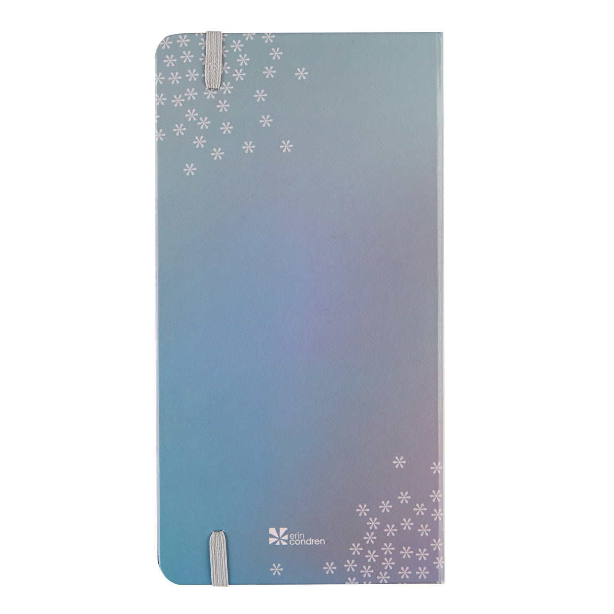 Erin Condren Weekly Budget Notebook