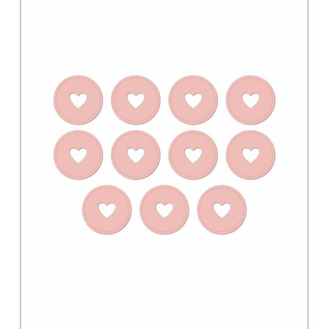 Happy Planner Blush Medium Plastic Discs