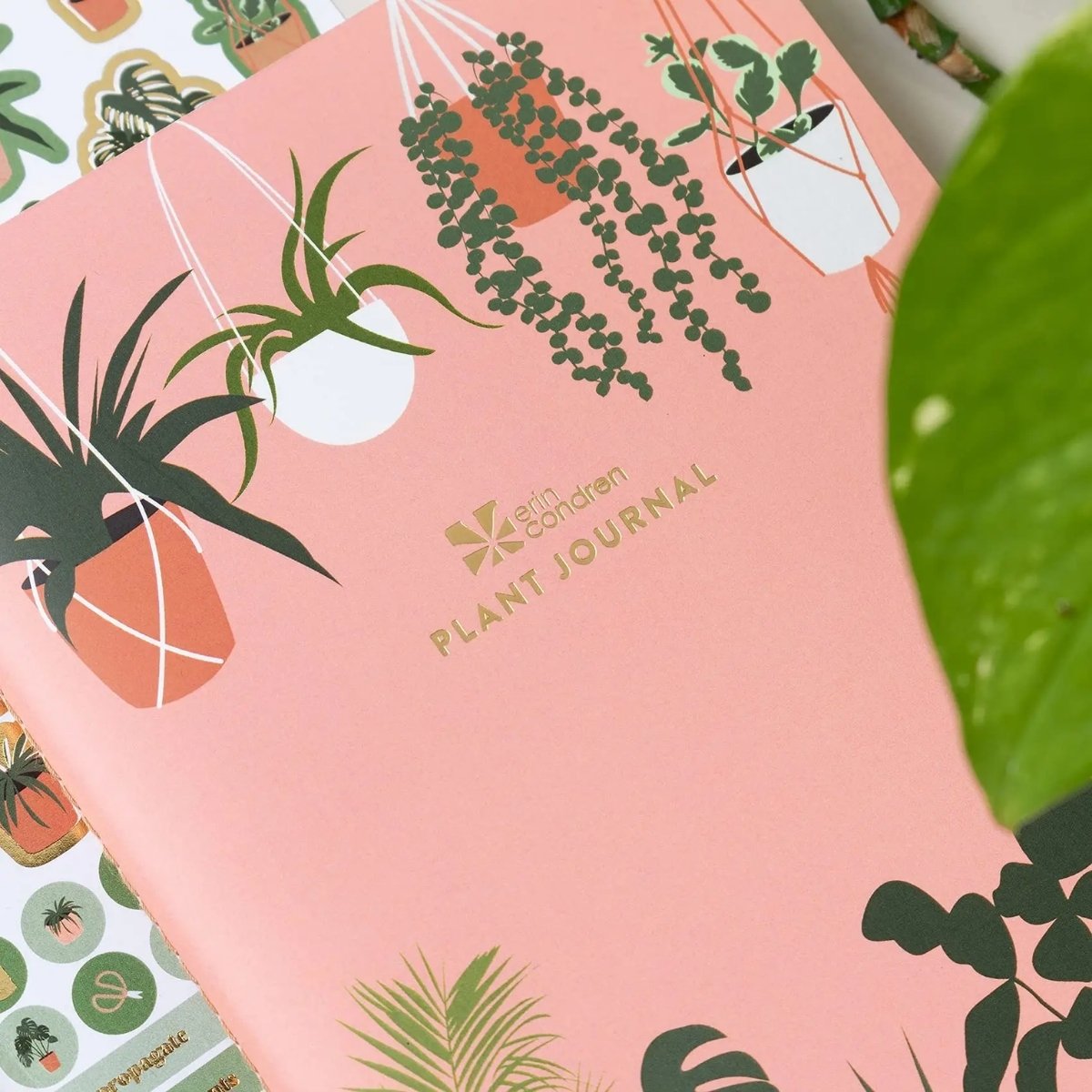Erin Condren Plant Journal Petite Planner