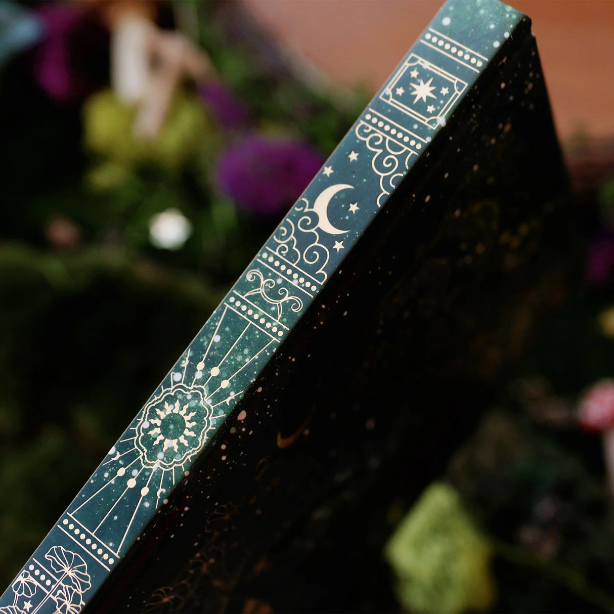 Wonderland Journal Dotted spine detail