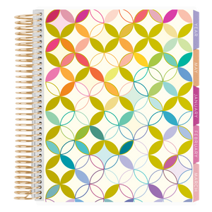 Erin Condren Metallic Mid Century 2027 Vertical LifePlanner: Closed planner showing its metallic cover design