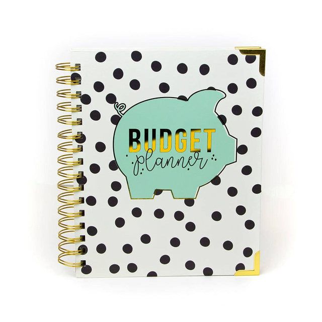 Carpe Diem Budget 12 Month Planner Undated