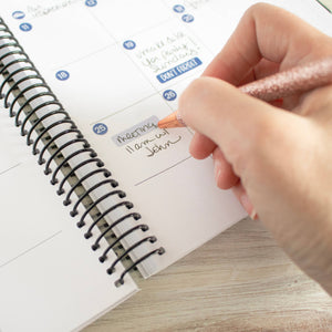 Date Day Months Stickers - Bloom Daily Planners
