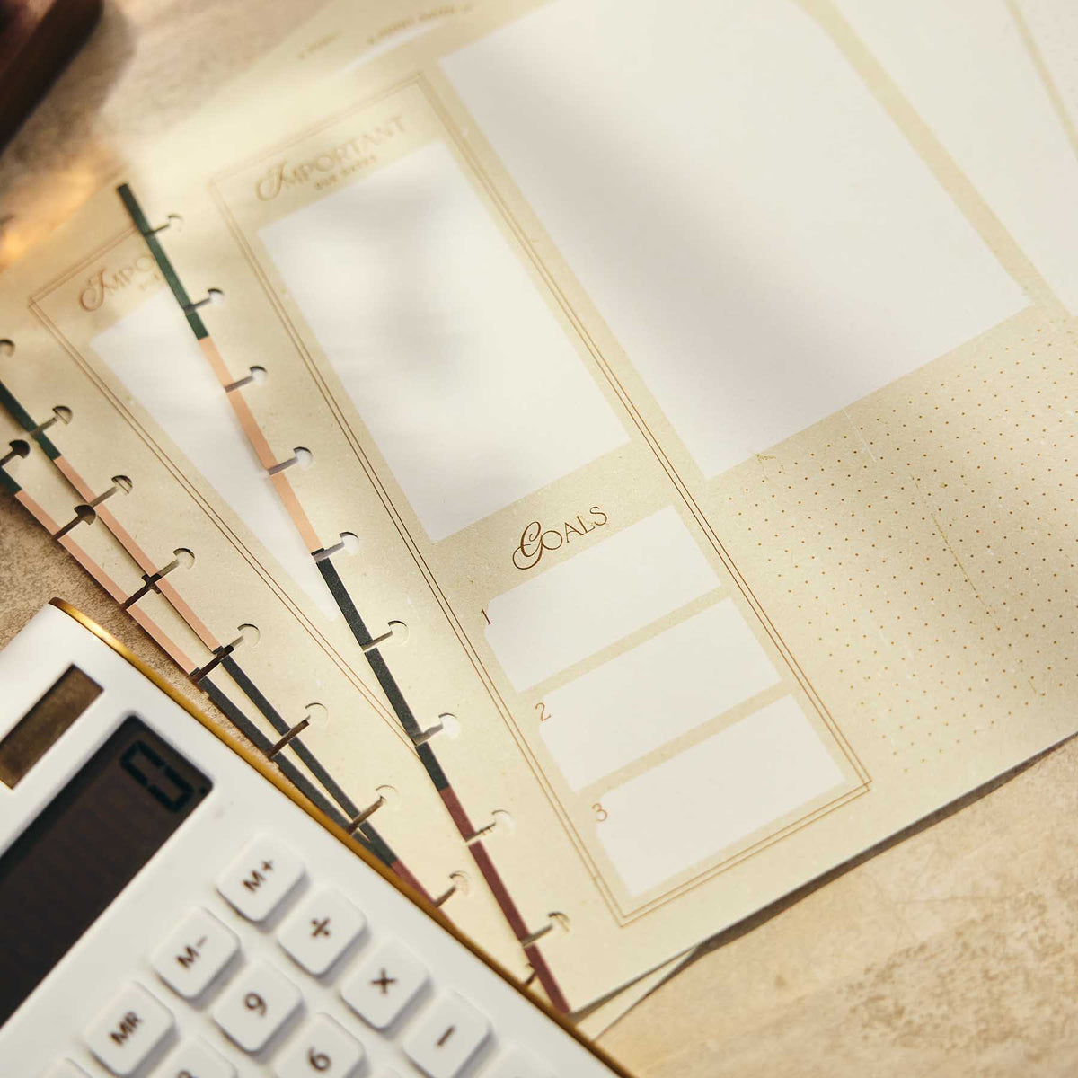 Classic budget fill paper from the Happy Planner Amber & Oak collection