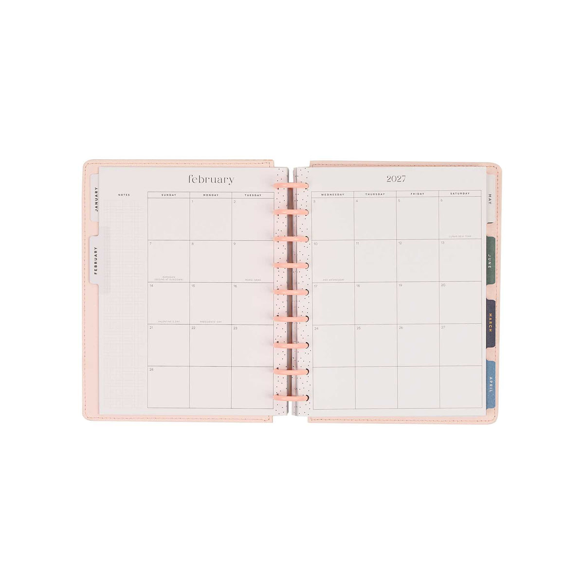 Wildflower Daydream planner February 2027 monthly calendar with pink discs