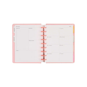 Petal Press planner monthly dashboard spread with pastel dividers