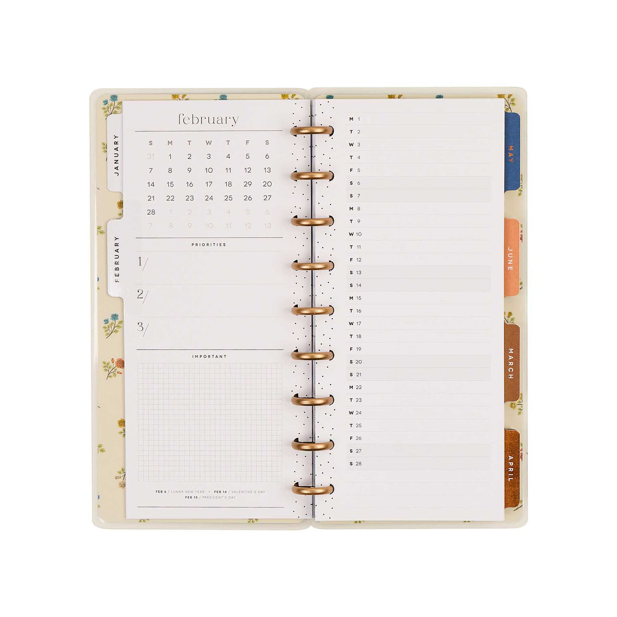 Fall Picnic Skinny Classic planner open monthly spread and lined planning pages