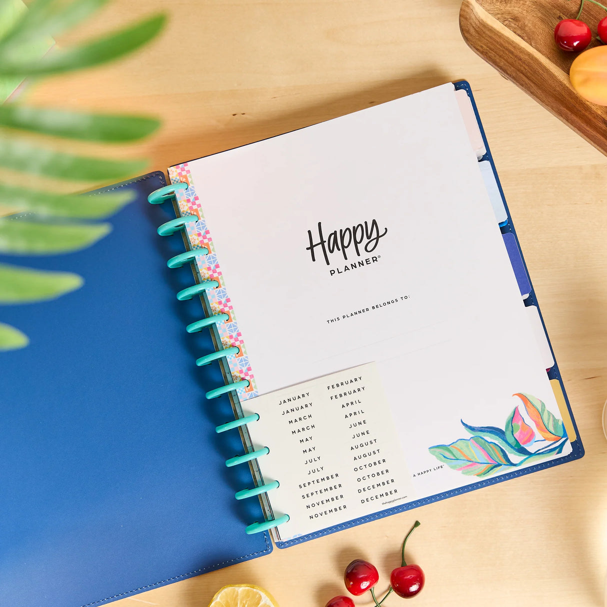 Happy Planner Deluxe Sunshine Splash Big 12-Month Undated Planner - Dashboard