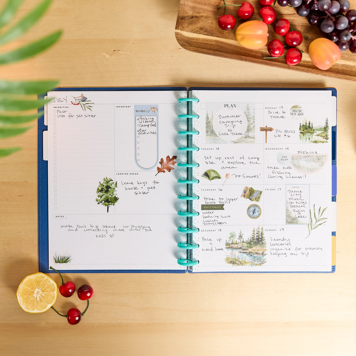 Happy Planner Deluxe Sunshine Splash Big 12-Month Undated Planner - Dashboard