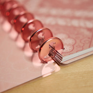 Happy Planner Coral Western Boot Medium Metal Disc Set