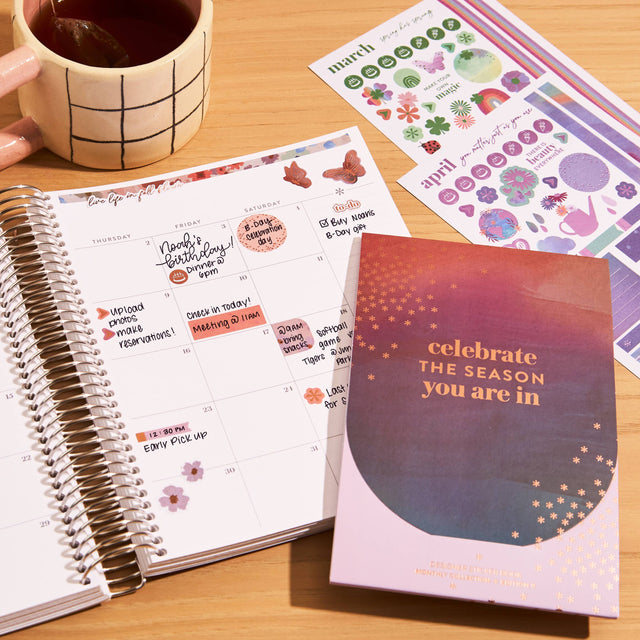 Erin Condren Monthly Sticker Book - Edition 9