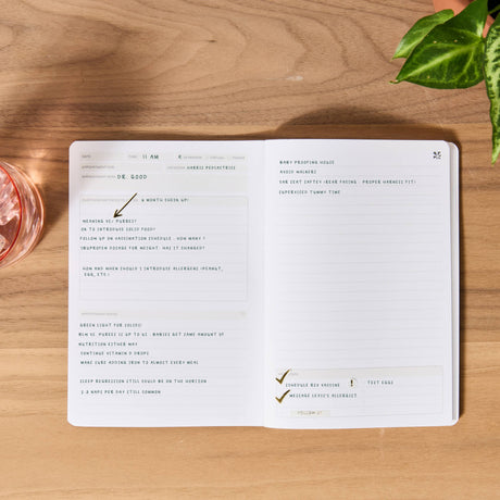 Erin Condren Appointment Book Petite Planner