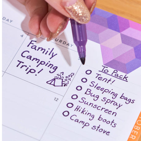 Erin Condren Dual-Tip Markers 12-pack - Asterisk Colorful