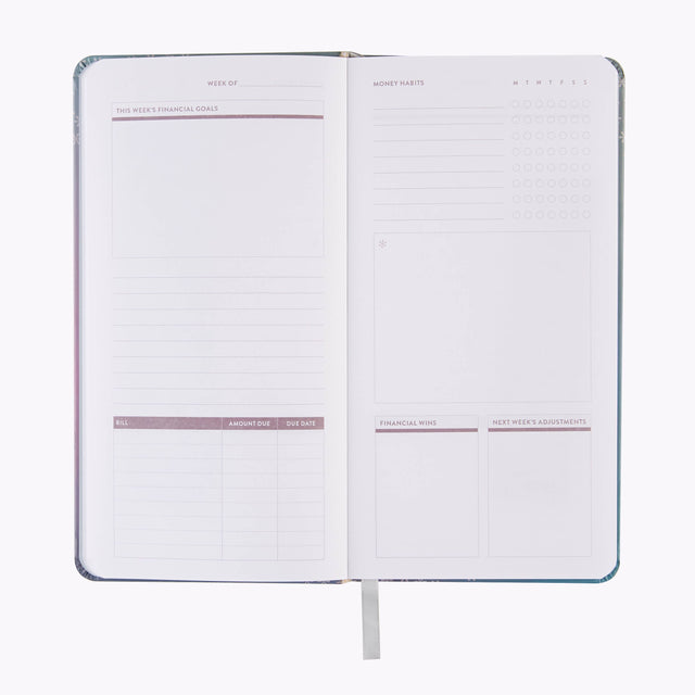 Erin Condren Weekly Budget Notebook