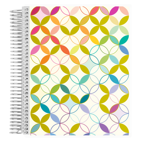 Erin Condren Metallic Mid Cent Coiled Notebook: Closed metallic cover notebook with platinum coil