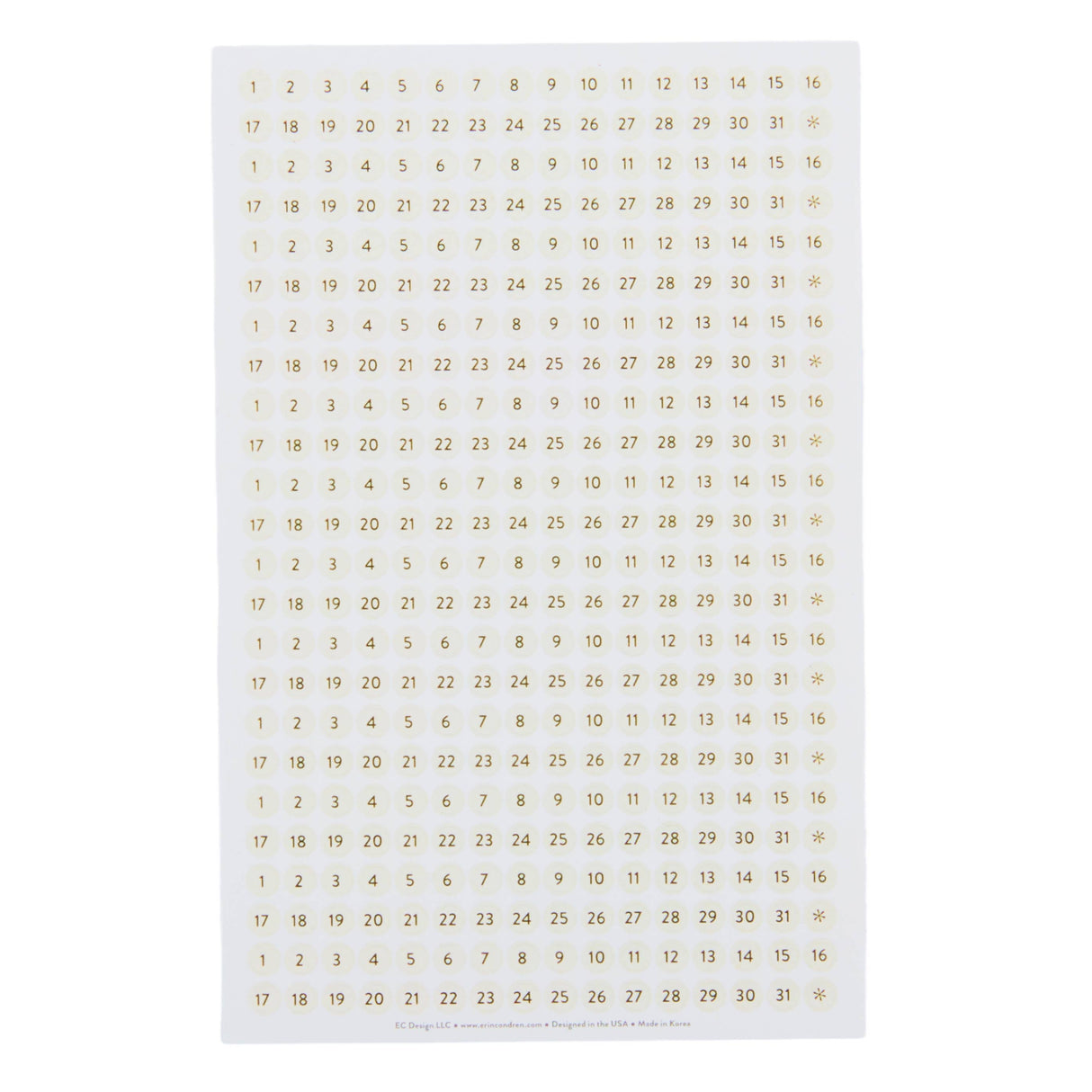 Erin Condren Year In Preview Waveform Petite Planner