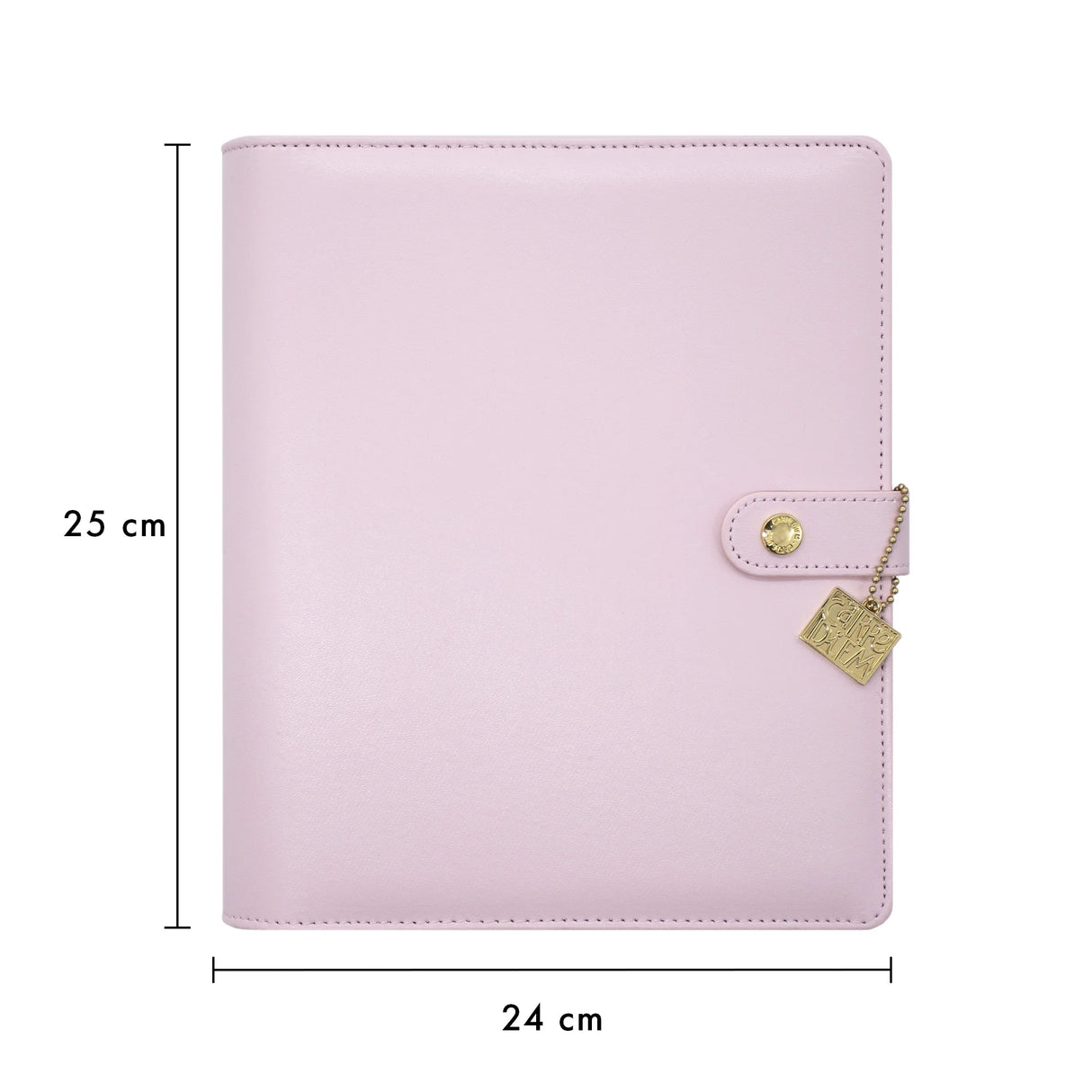 Carpe Diem Ballerina Pink A5 Planner Measurements