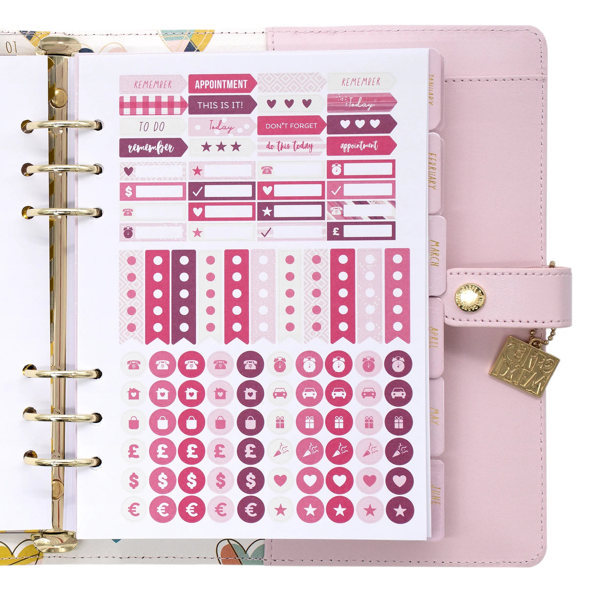 Carpe Diem Ballerina Pink A5 Planner Box Set