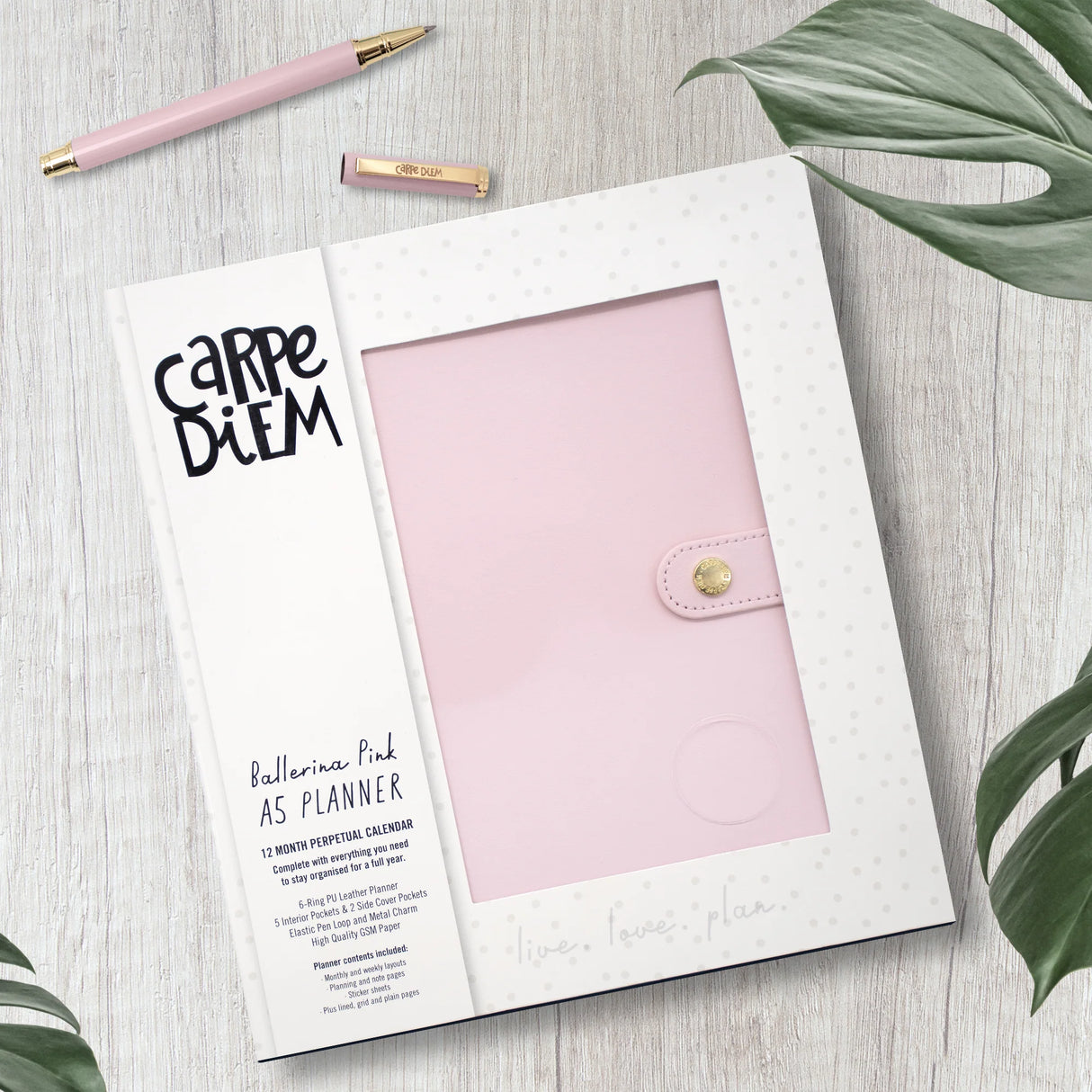 Carpe Diem Ballerina Pink A5 Planner Box Set