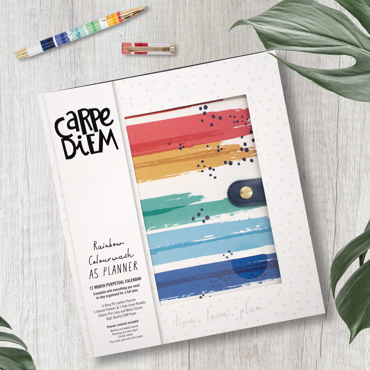 Carpe Diem Colour Wash A5 Planner Box Set