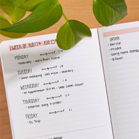 Erin Condren Productivity Petite Journal - Sandwave